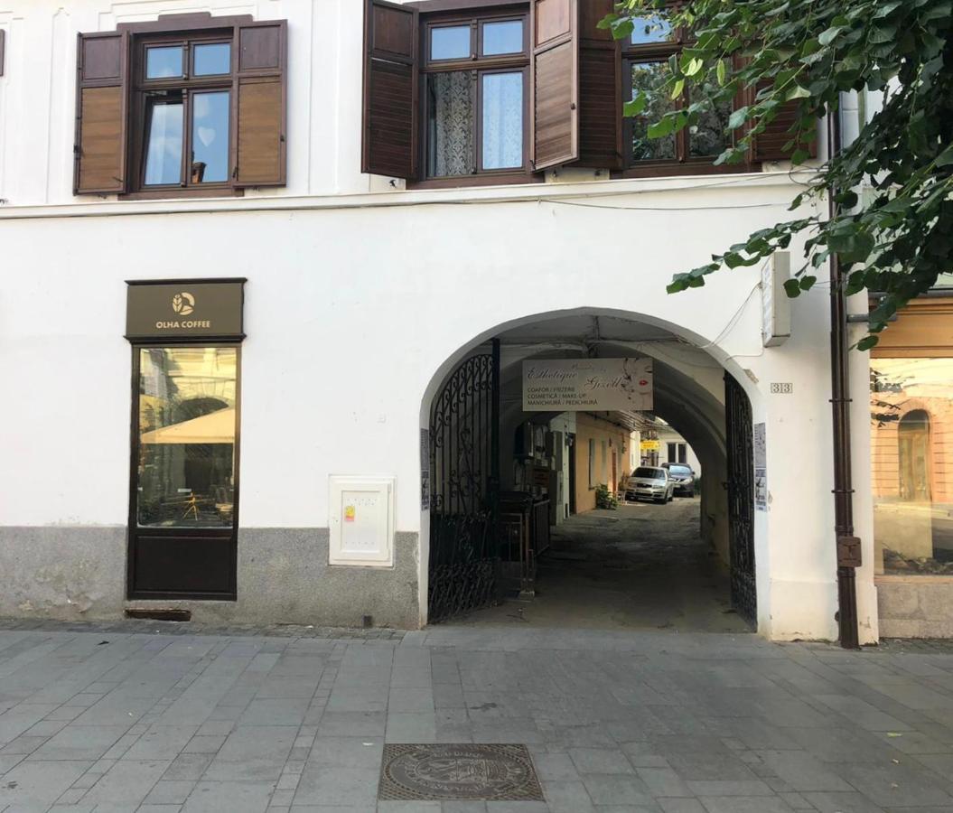 Gizell 2 Appartamento Sibiu